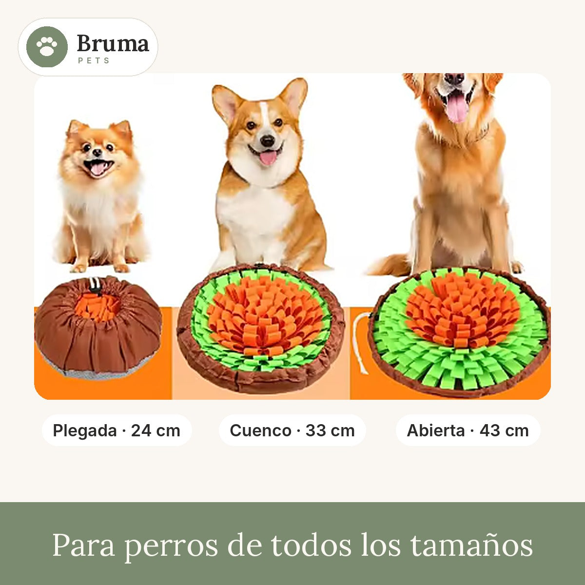Alfombra Olfativa para Perros — Juego Mental Antiestrés