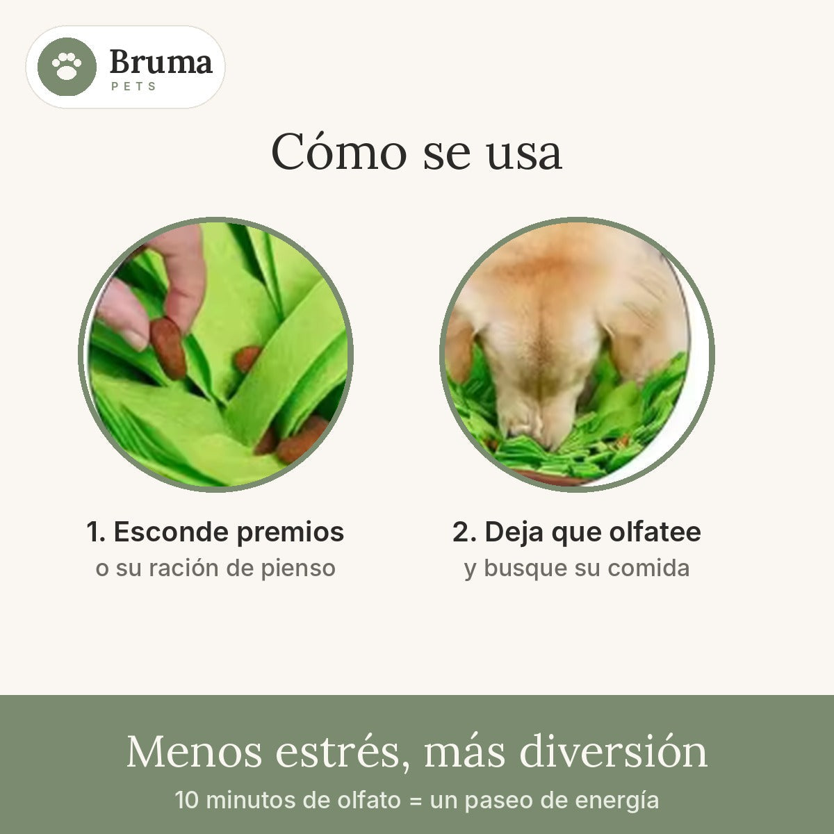 Cómo se usa la alfombra olfativa